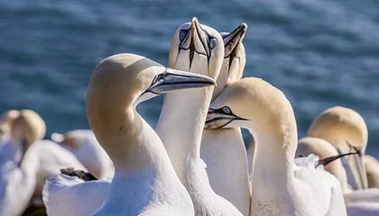 开云-比肩传奇！东契奇三月总得分破600分 1987年乔丹后首人